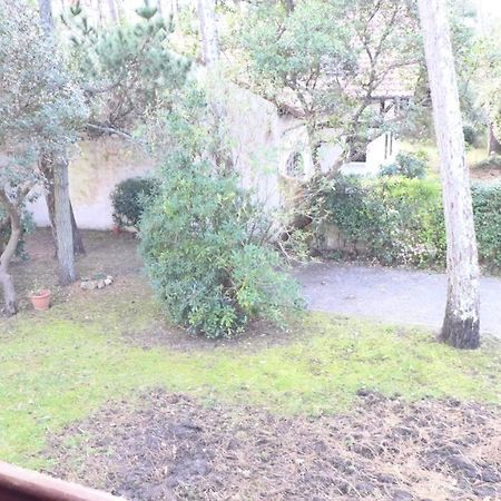 Ref 141 ,Seignosse Les Bourdaines , Villa Bouharde Classee 3 Etoiles, A 600 M Plage, 10 Personnes Bagian luar foto